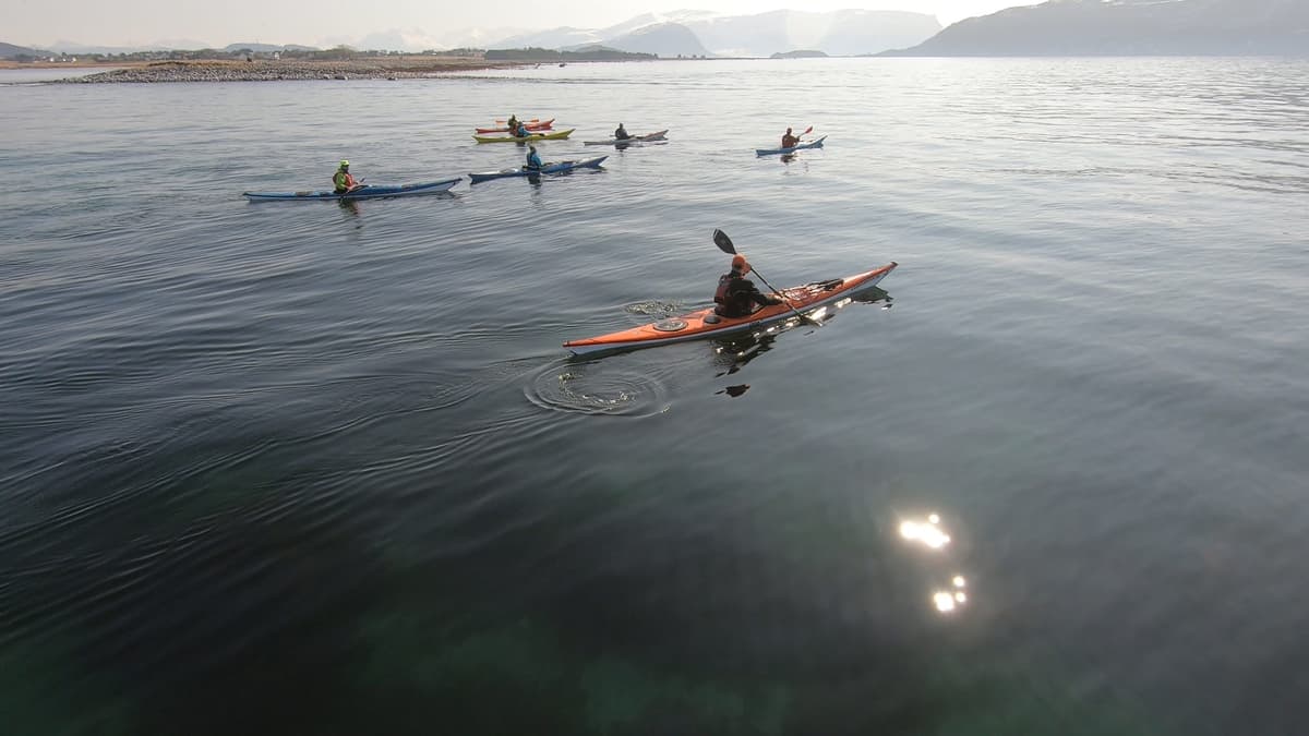 Course participants paddling on mirror-calm sea